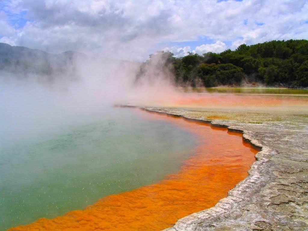 玩+餐食住宿升级+凯库拉海豹湾+奥玛鲁企鹅归